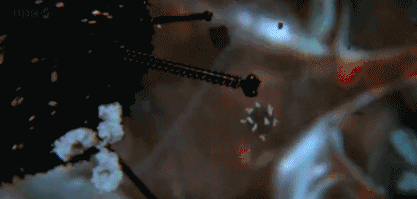 文汇报■这部BBC纪录片告诉你，新型冠状病毒是如何入侵的