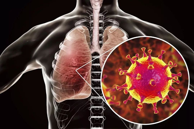 「文汇报」掌握这50个关键问题，就一定能打赢这场战“疫”！