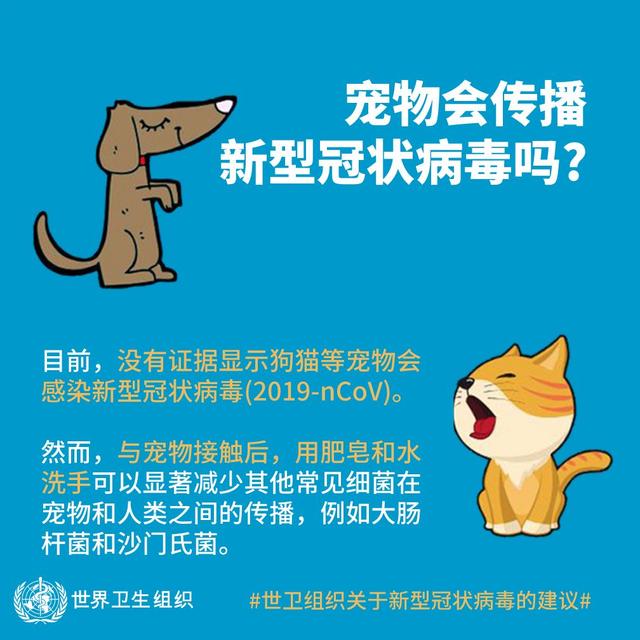 【北京日报客户端】吃大蒜 洗鼻子 抹香油能预防新冠病毒？世卫组织答14问