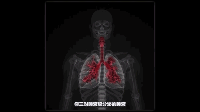 「上观新闻」与其怕你，不如先探探你的底细：新冠病毒！