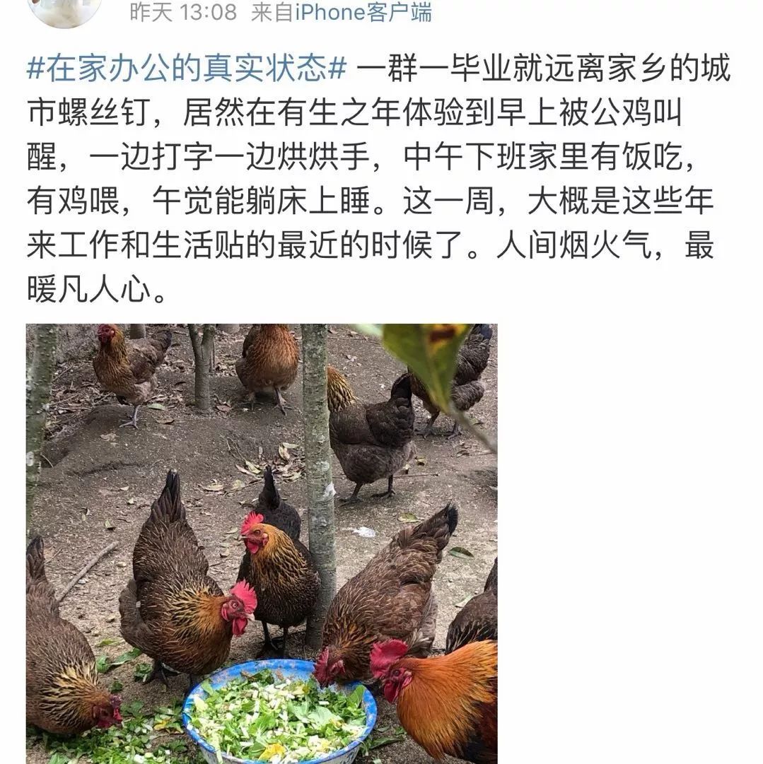 [法制日报]“在家办公”行为大赏，你属于哪一种？