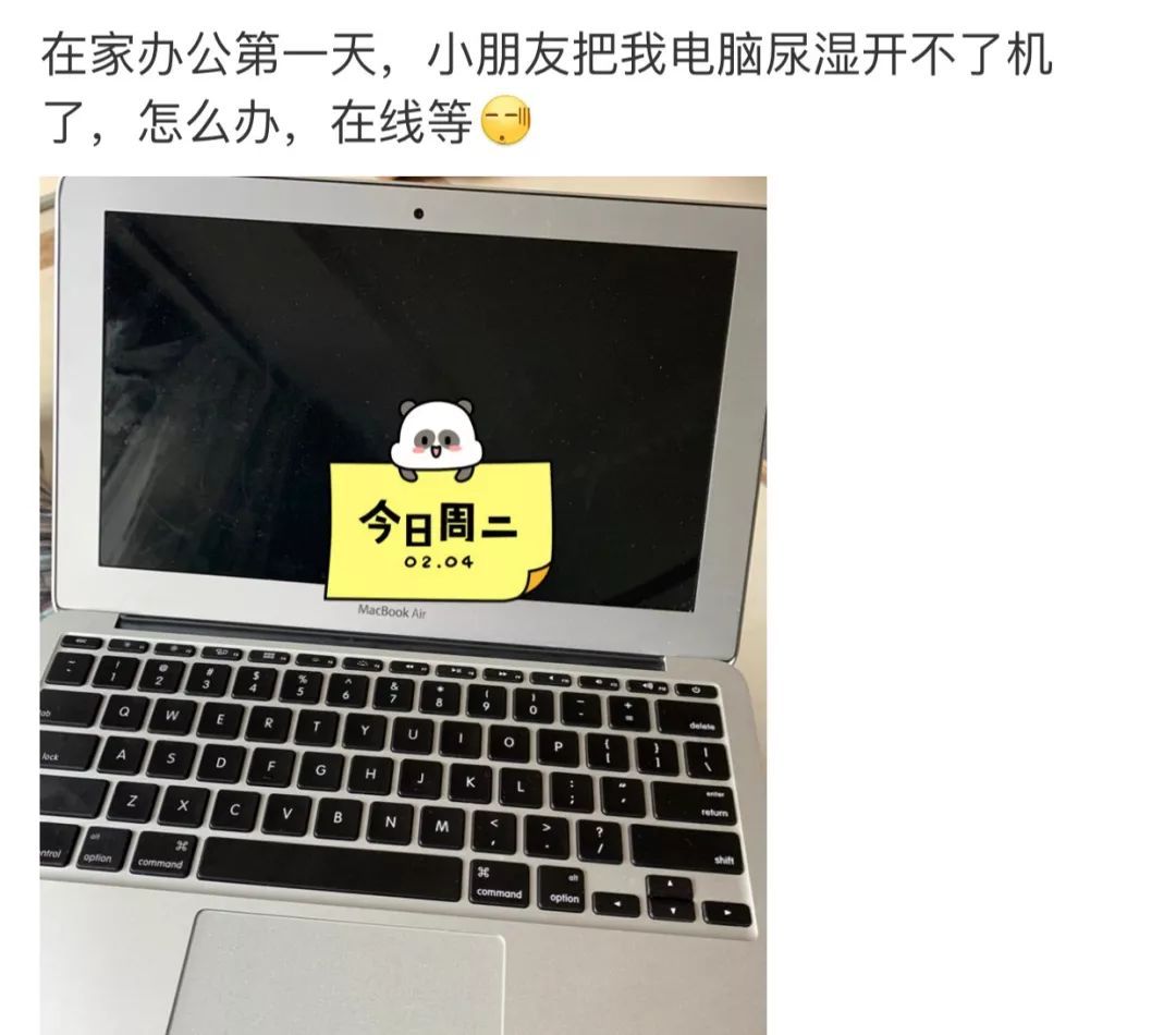 [法制日报]“在家办公”行为大赏，你属于哪一种？