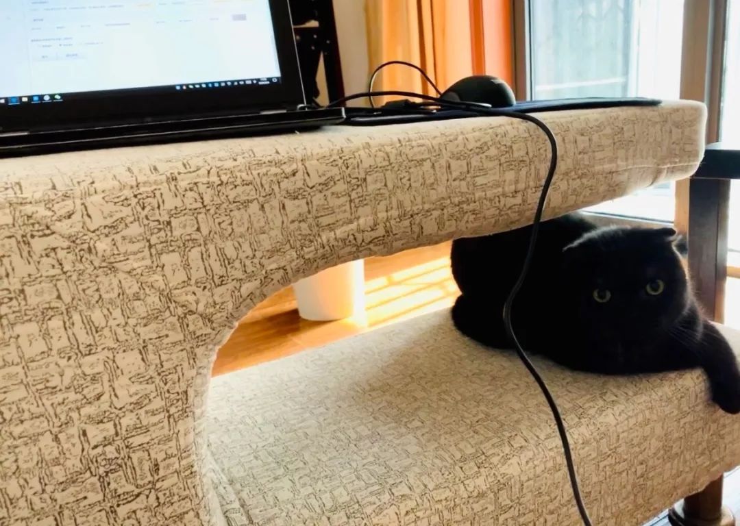 [法制日报]“在家办公”行为大赏，你属于哪一种？