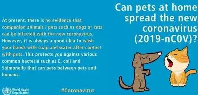 #第一财经#WHO和国家卫健委都发话了：没证据表明猫狗等宠物传染新冠病毒