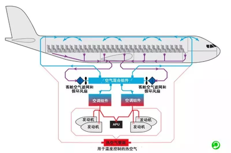 「文汇报」民航局：绝不让机场和飞机客舱成为病毒传播渠道
