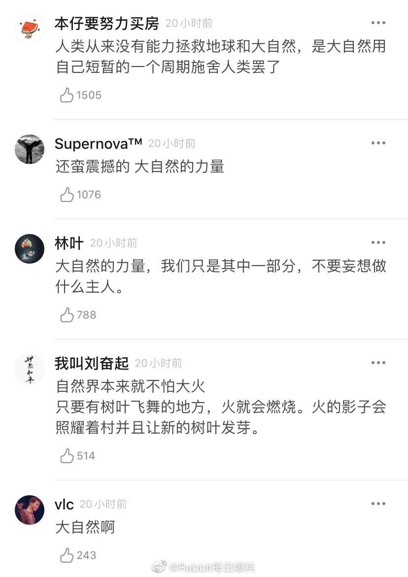 「文汇报」澳洲，大火烧过的地方开始发芽了