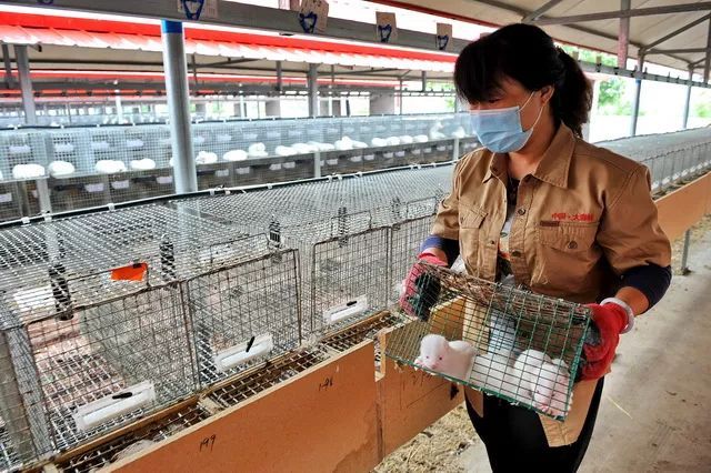 「第一财经」野生动物人工养殖繁育场，到底该不该关闭？