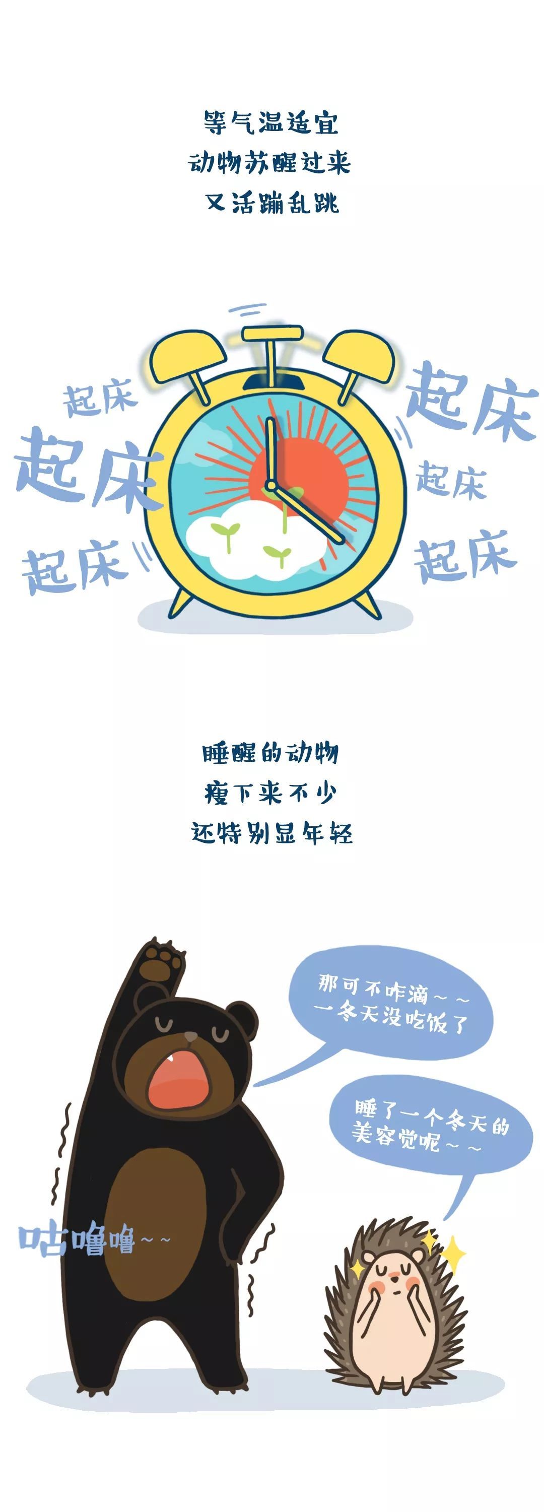 人类为什么不能冬眠
