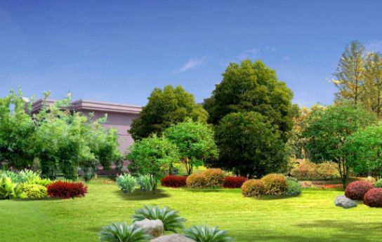 文汇报：震惊！小区、街面这样消毒不仅无用！而且有害！