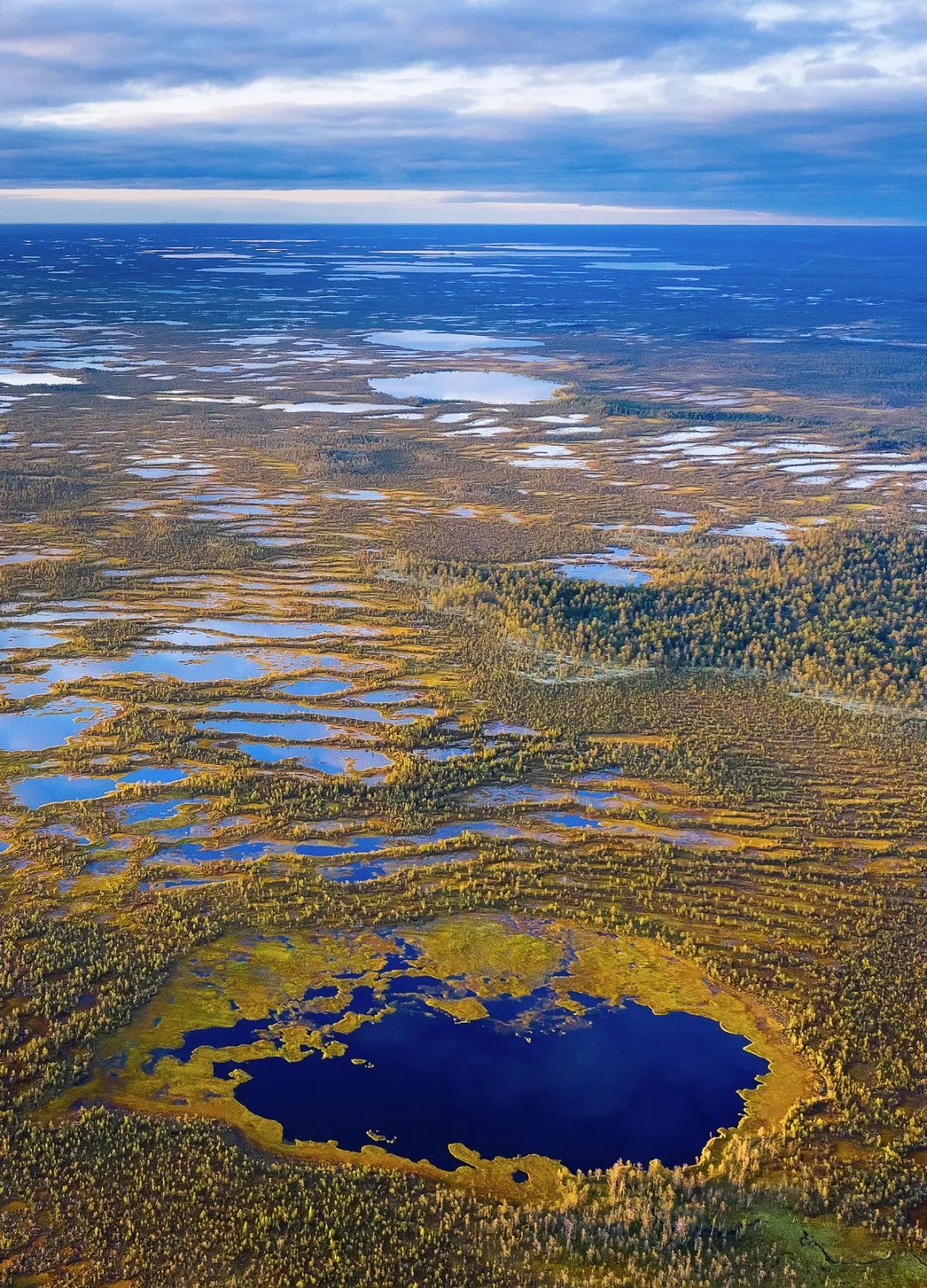 西伯利亚也太太太太太太冷了!