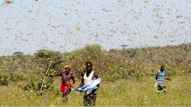 环球时报：联合国警告：另一场灾难要来了