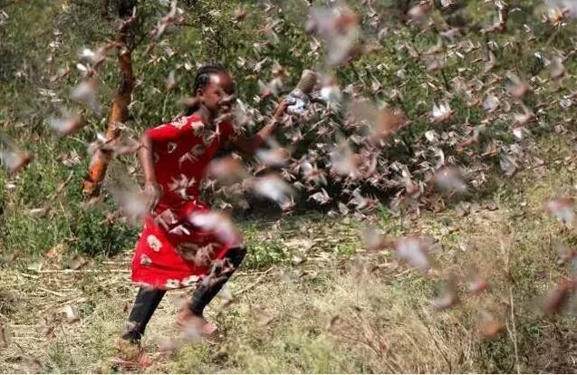环球时报：联合国警告：另一场灾难要来了