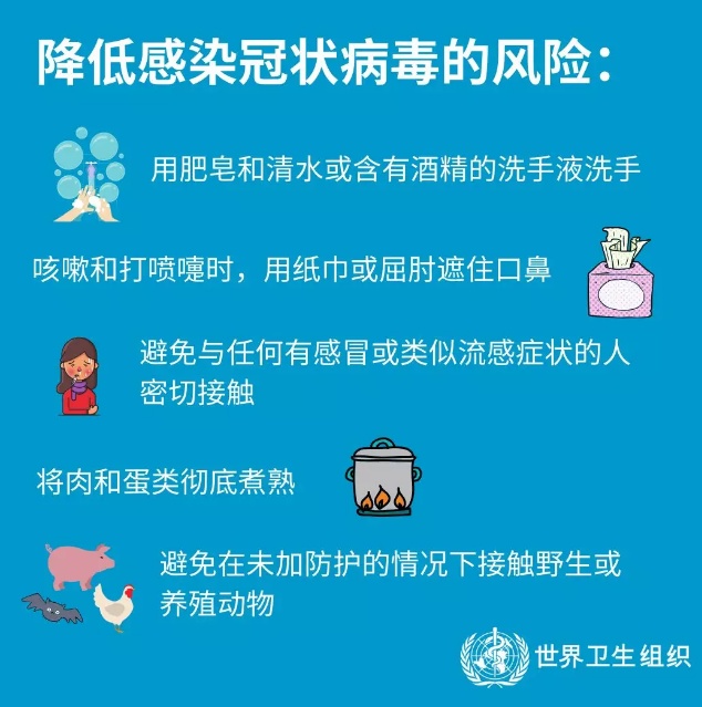#中国网#世卫组织总干事：将调动整个联合国的力量抗击疫情