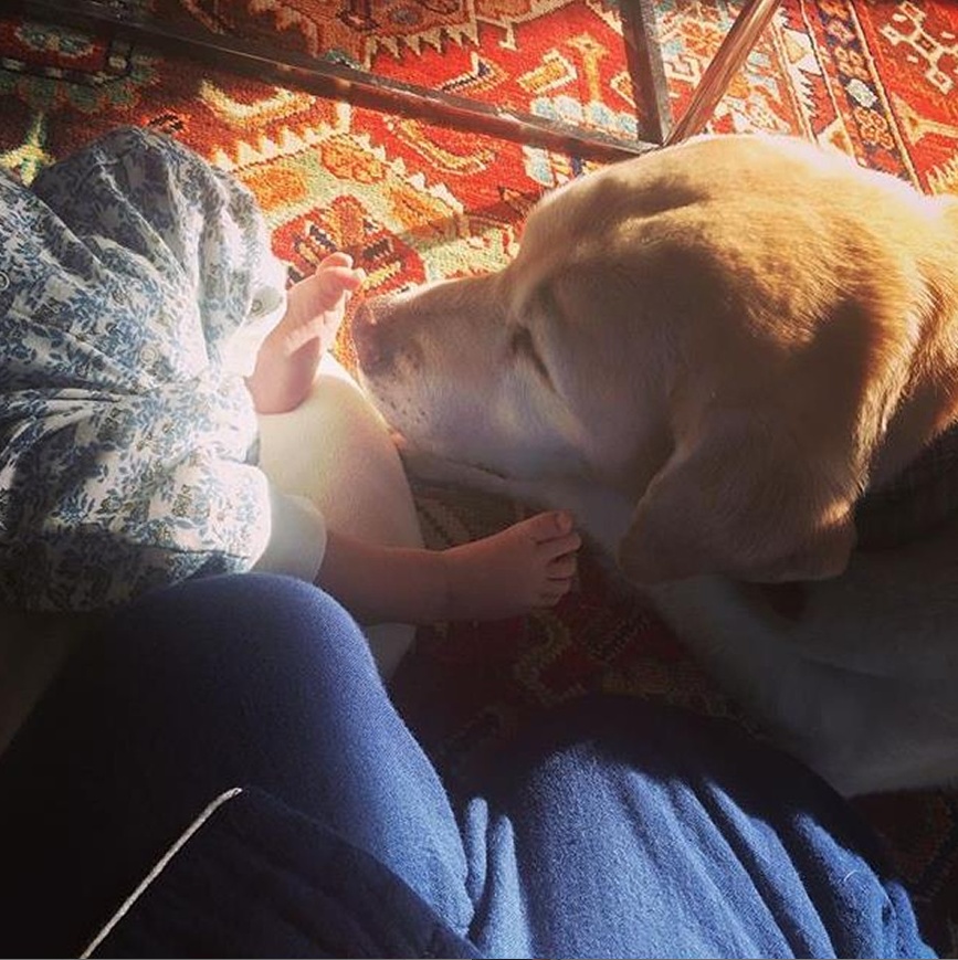 海外网@小泉进次郎史无前例休“育儿假” 儿子照片首次曝光