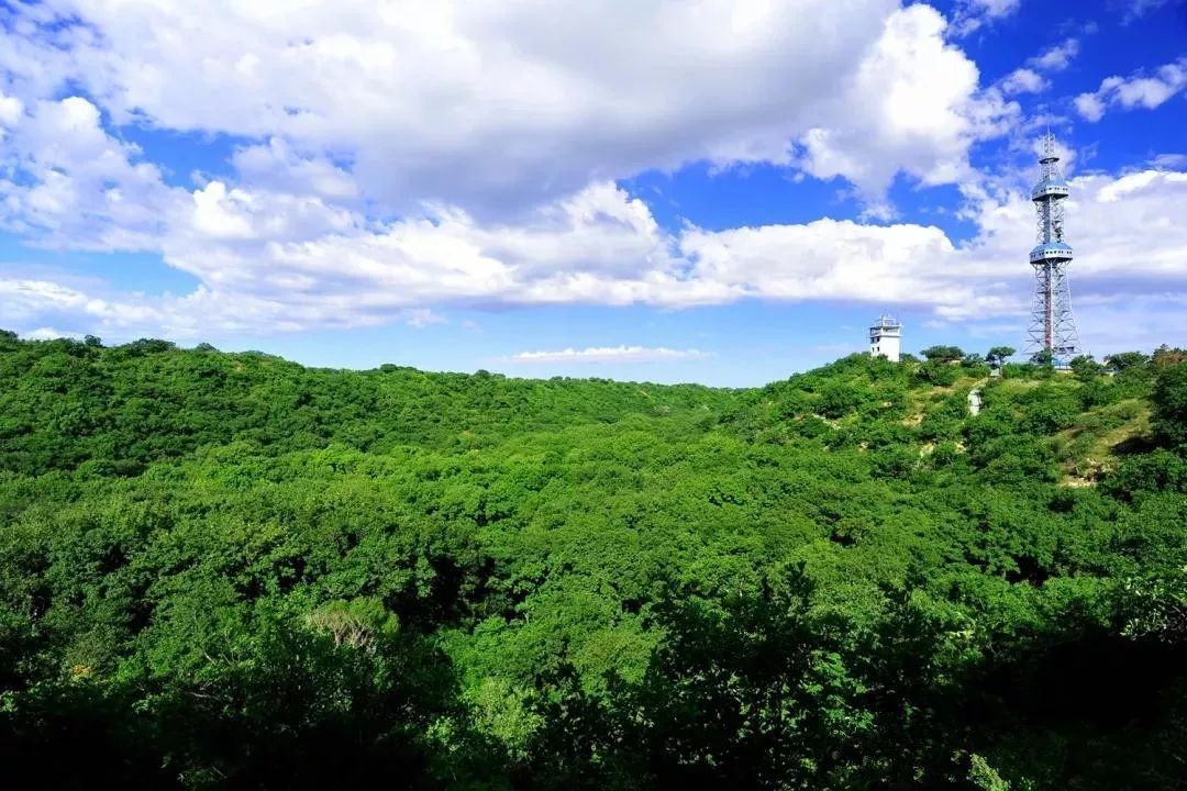 草原聖谷 北方雨林內蒙古大青溝國家aaaa級旅遊景區,待