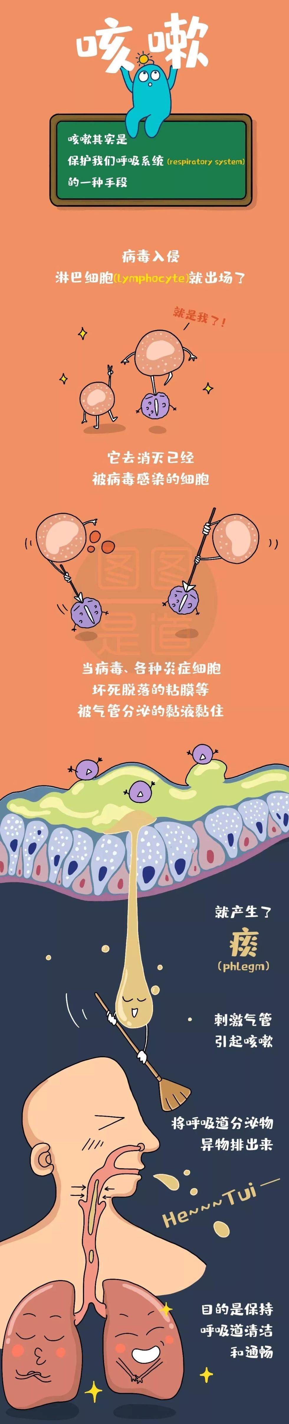 平安北京：让我们继续严防死守，把病毒“捂死”再出门！