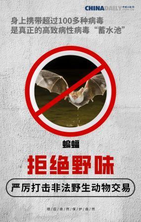 【中国日报网】全面禁止非法野生动物交易 刻不容缓