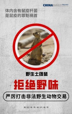 【中国日报网】全面禁止非法野生动物交易 刻不容缓