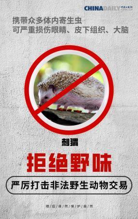 【中国日报网】全面禁止非法野生动物交易 刻不容缓