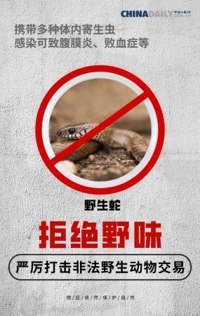 【中国日报网】全面禁止非法野生动物交易 刻不容缓