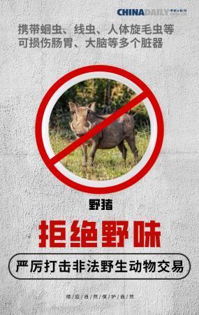 【中国日报网】全面禁止非法野生动物交易 刻不容缓