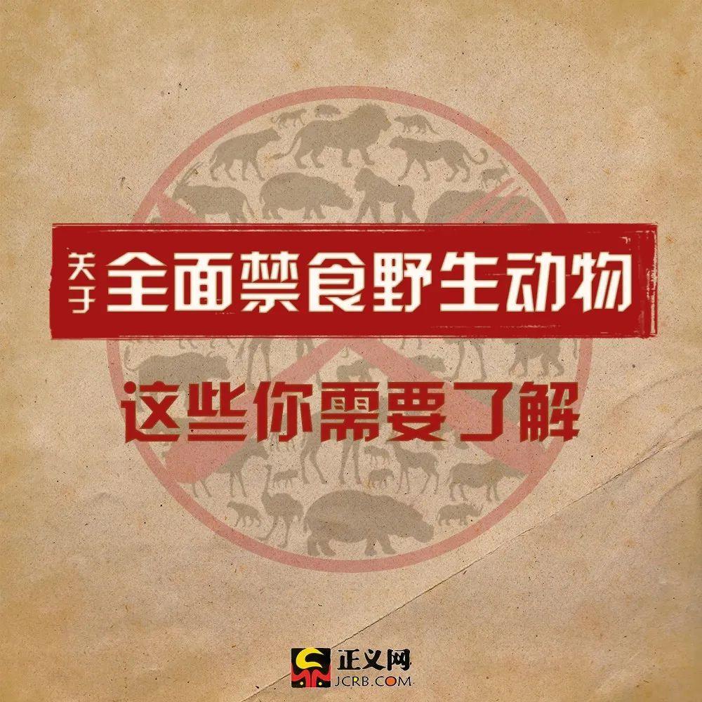 「正义网」关于全面禁食野生动物，这些你需要了解！