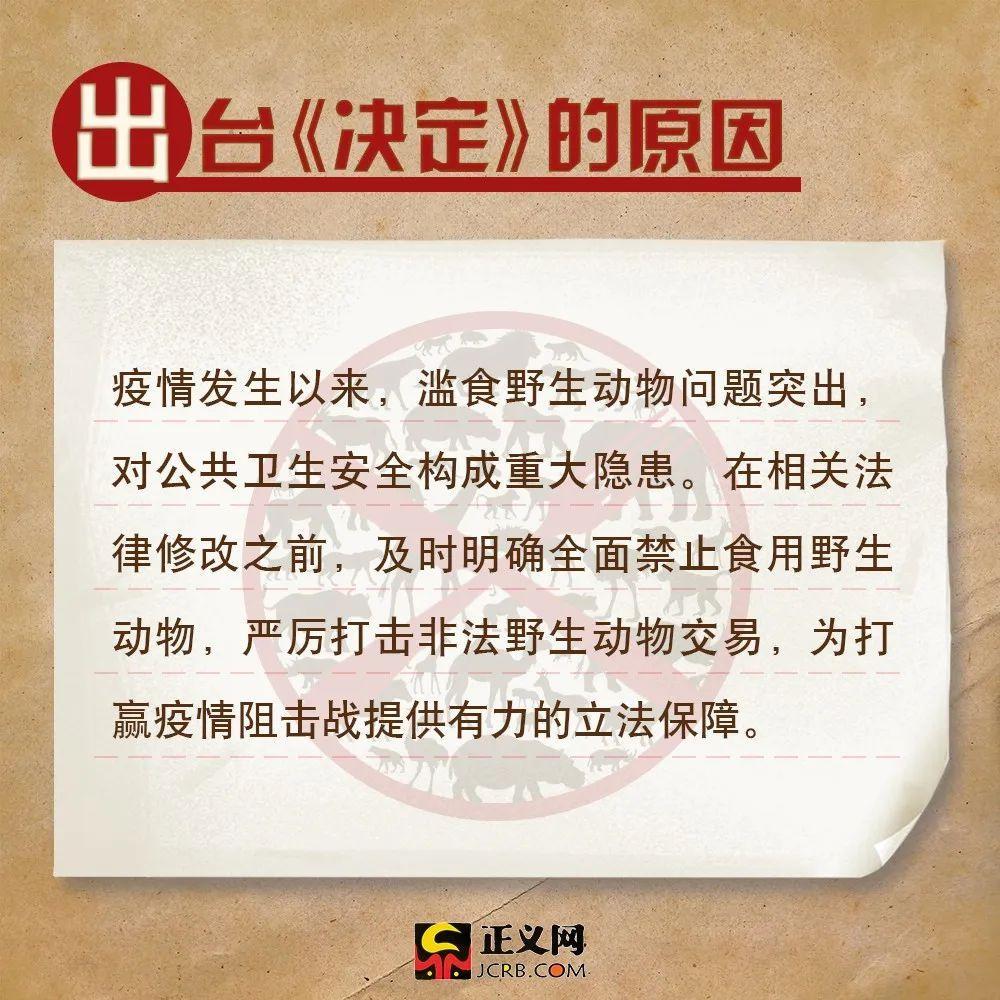 「正义网」关于全面禁食野生动物，这些你需要了解！