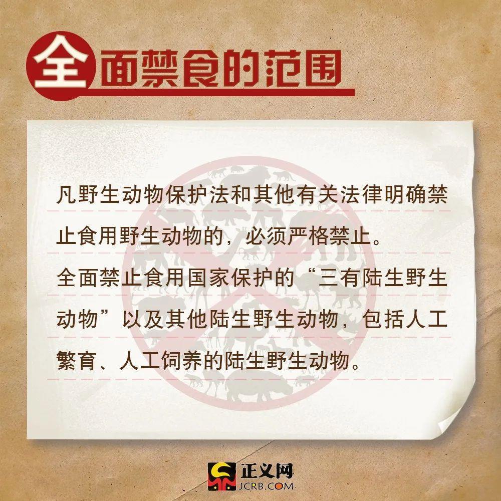 「正义网」关于全面禁食野生动物，这些你需要了解！