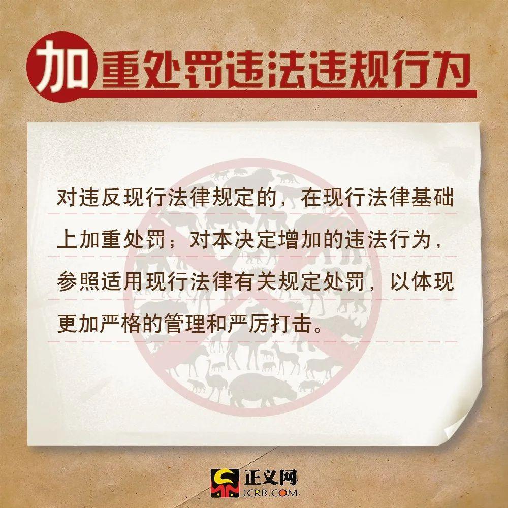 「正义网」关于全面禁食野生动物，这些你需要了解！