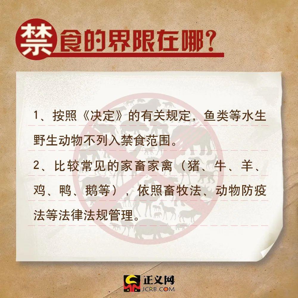 「正义网」关于全面禁食野生动物，这些你需要了解！