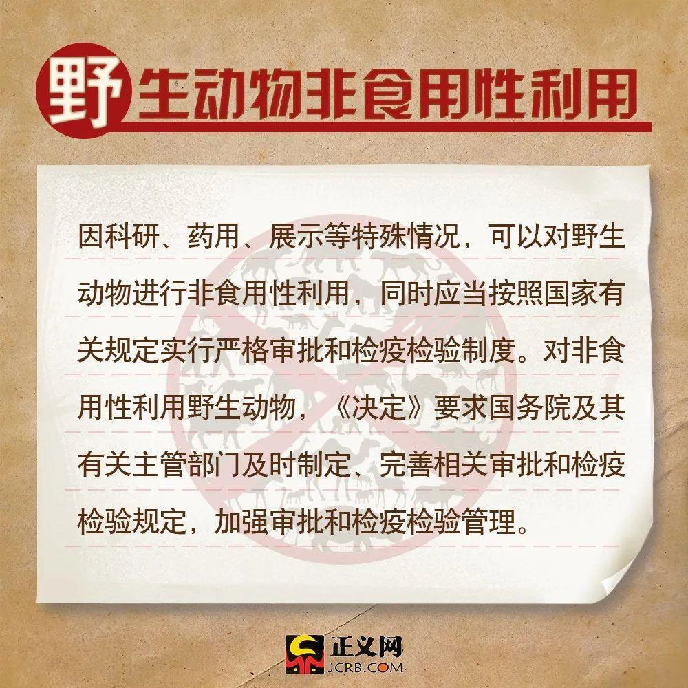「正义网」关于全面禁食野生动物，这些你需要了解！