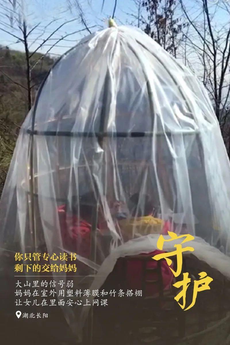 「人民日报」借网上课、在方舱医院做作业……疫情中那些专注的模样