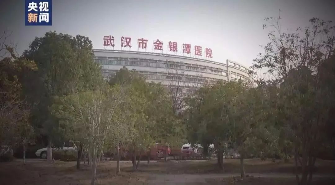 「死亡率」改用吸痰机可降低死亡率？专家：所有医疗支持都可能是“双刃剑”