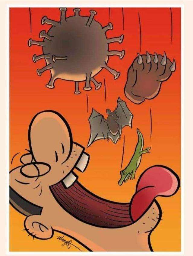 社科战疫(9)|锚定地下野味批发商,中转站,"清理野味库存"