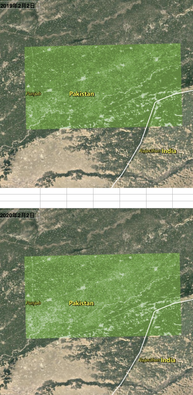 [植被指数]从太空看蝗虫：巴基斯坦蝗灾影响有多大？