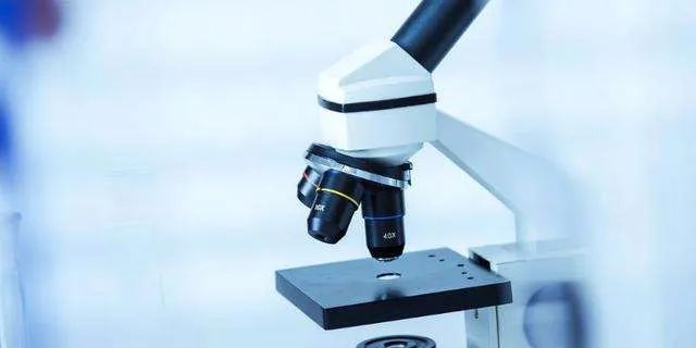 「程京」静悄悄的科研战场上,他们正与病毒“赛跑”