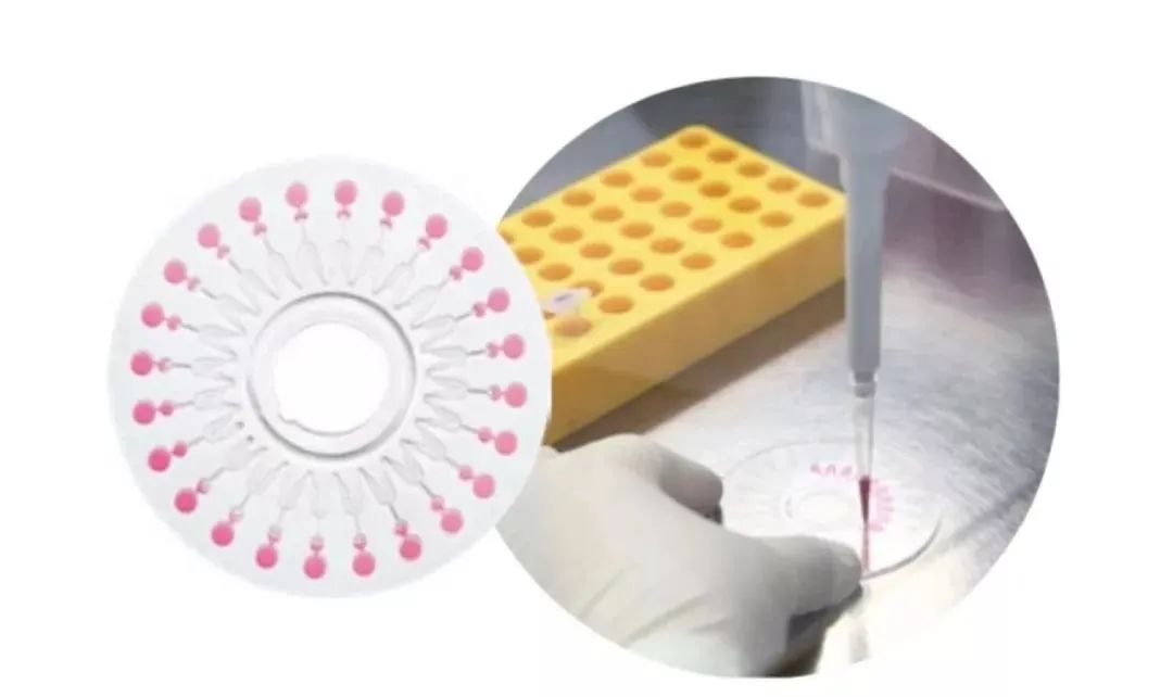 「程京」静悄悄的科研战场上,他们正与病毒“赛跑”