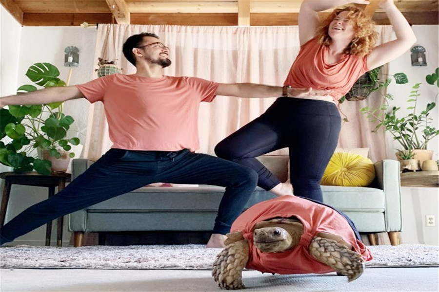 [国际]有创意！美国夫妇与宠物穿“亲子装”并合影留念