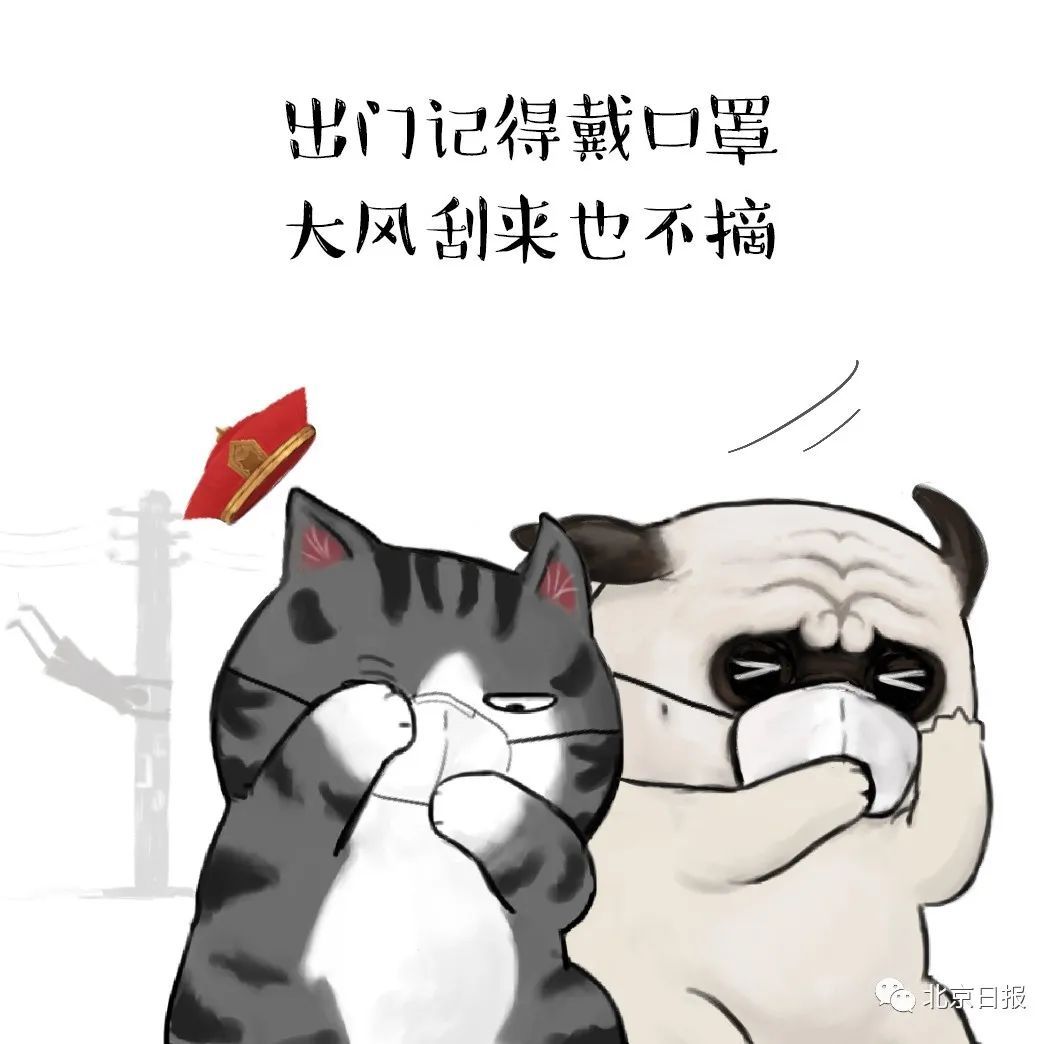 知事：做不到这些，无法安睡！