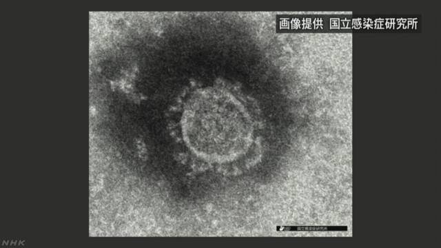 国际社会▲日本旅行团在匈牙利出现疑似感染症状 被集体送医隔离