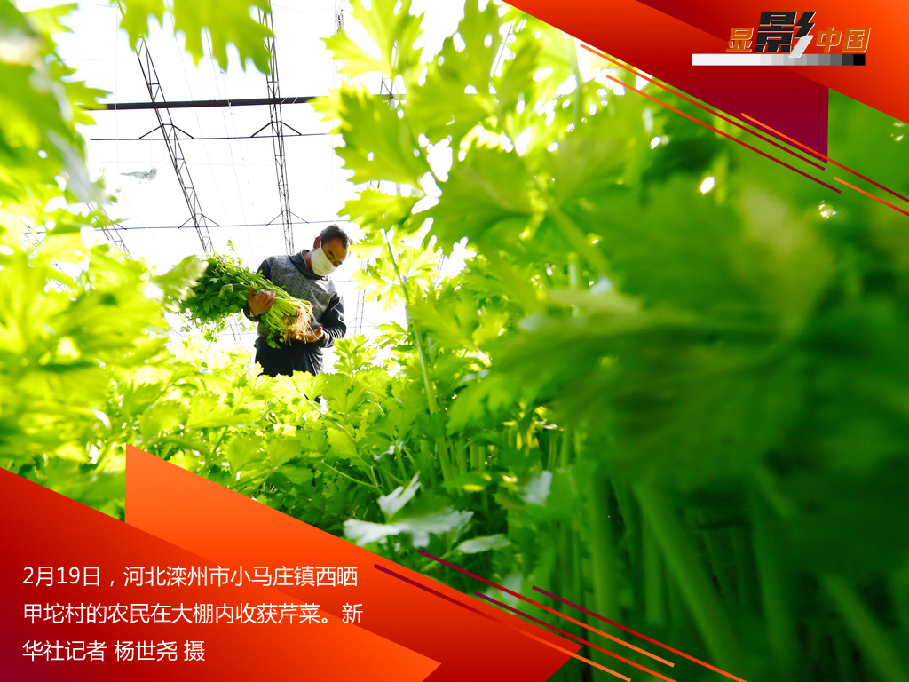 「时政」生产线上的风景：这儿有一个不一样的“春天故事”