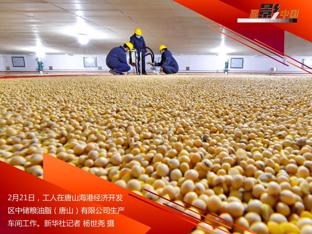 「时政」生产线上的风景：这儿有一个不一样的“春天故事”