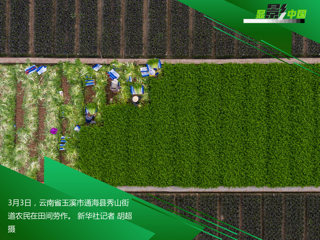 「时政」生产线上的风景：这儿有一个不一样的“春天故事”