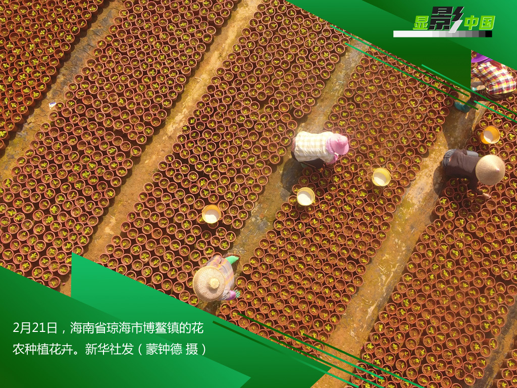 「时政」生产线上的风景：这儿有一个不一样的“春天故事”