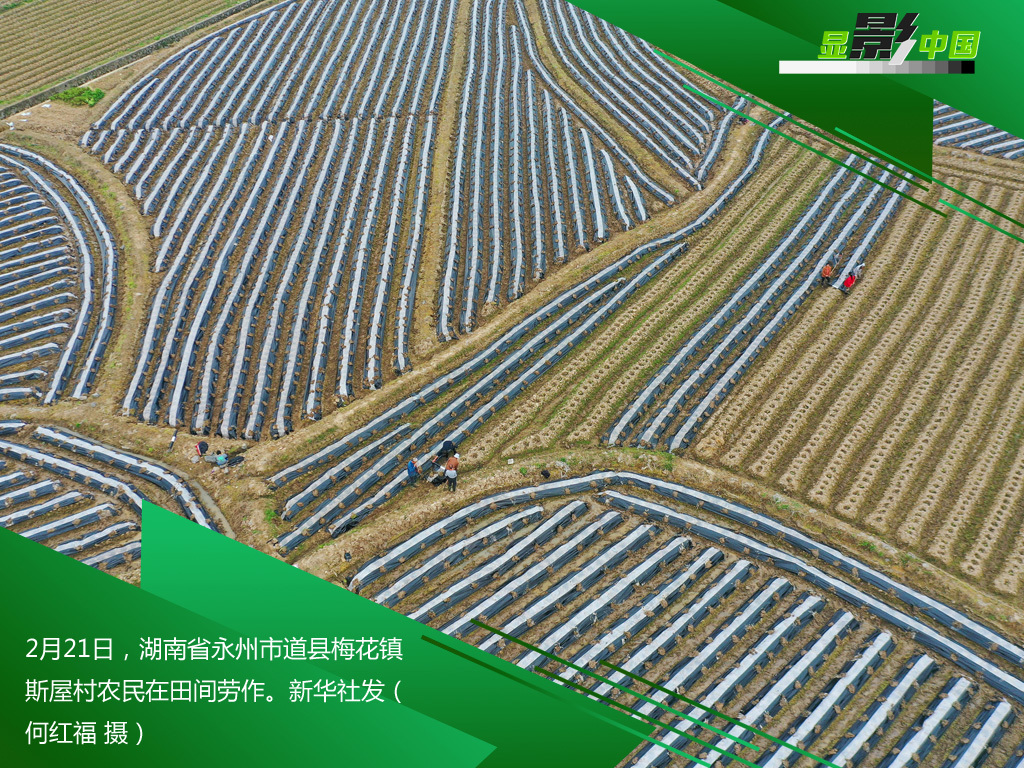 「时政」生产线上的风景：这儿有一个不一样的“春天故事”