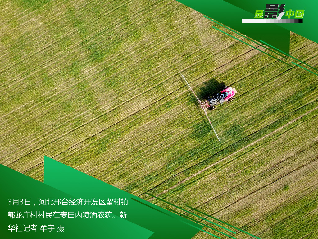 「时政」生产线上的风景：这儿有一个不一样的“春天故事”