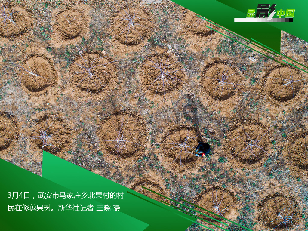 「时政」生产线上的风景：这儿有一个不一样的“春天故事”