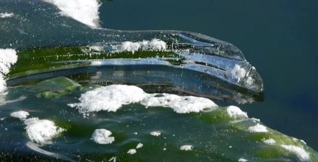 「文化」藏在古人诗词里的“三春”有多迷人？盘它！