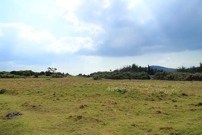 「文化」藏在古人诗词里的“三春”有多迷人？盘它！