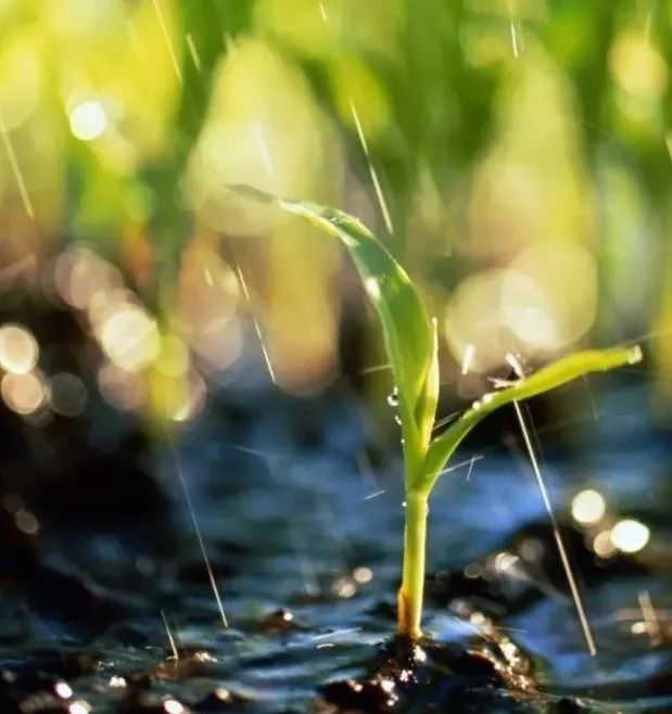 「文化」藏在古人诗词里的“三春”有多迷人？盘它！